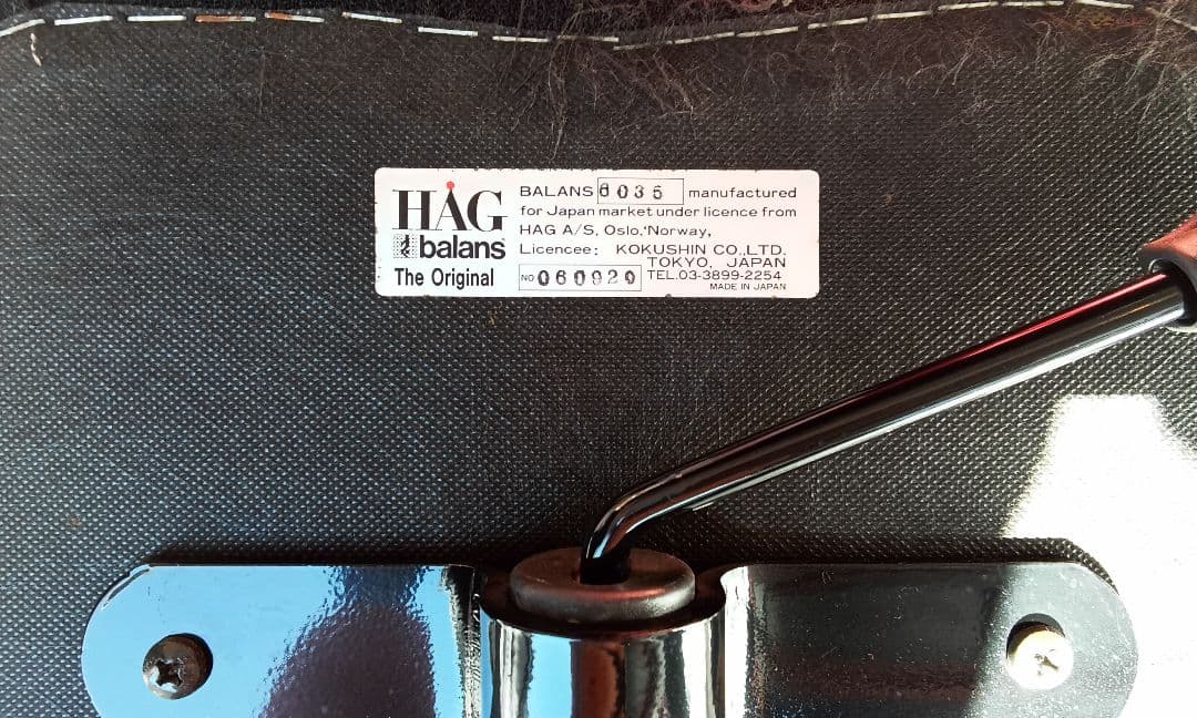 【価格交渉可】HAGバランスチェア