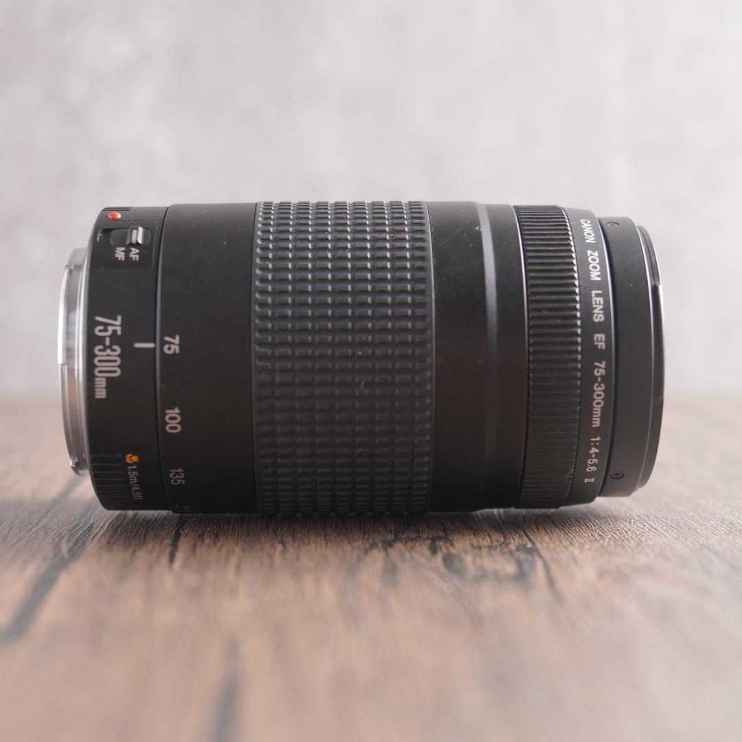 ✨美品✨超望遠✨イベントに✨Canon EF 75-300mm II　323