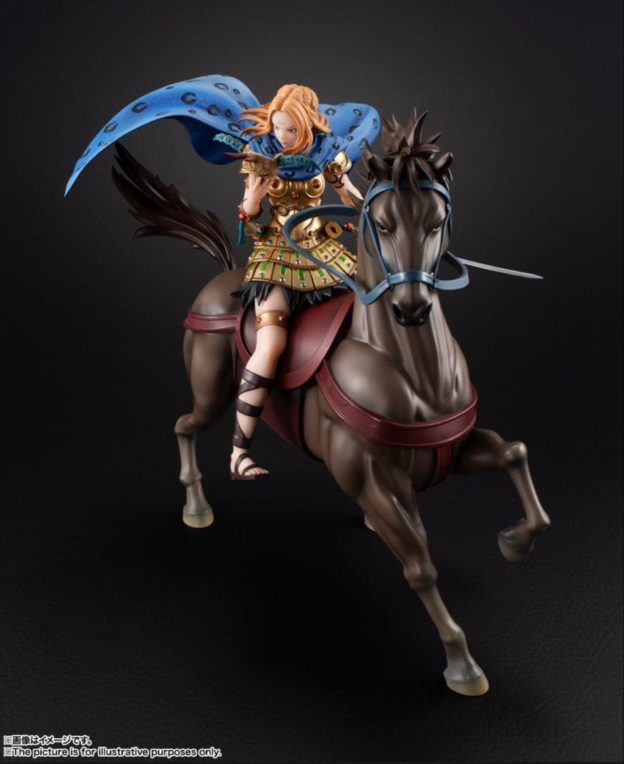 キングダム　フィギュアーツZERO 楊端和 フィギュア