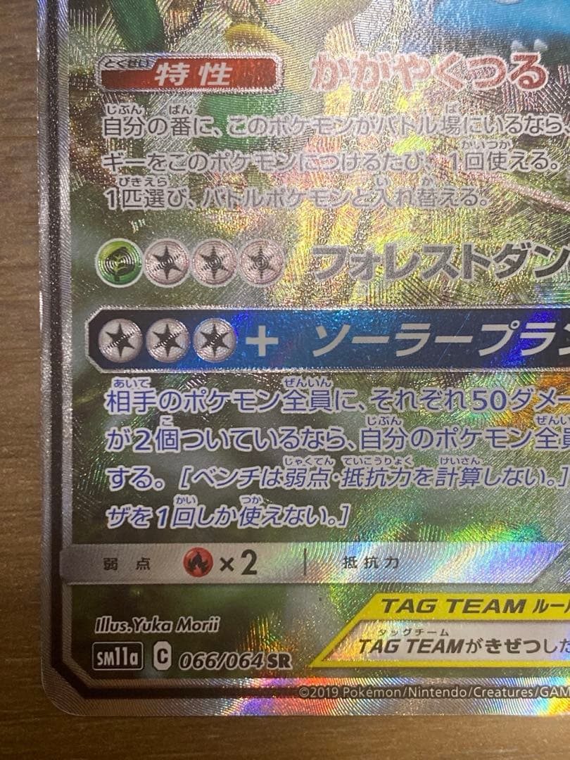 フシギバナ＆ツタージャGX SA