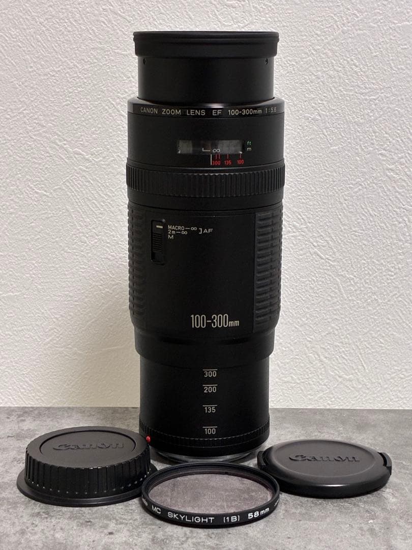 ⭐️美品⭐️キャノン Canon EF 100-300mm f/5.6 超望遠レンズ