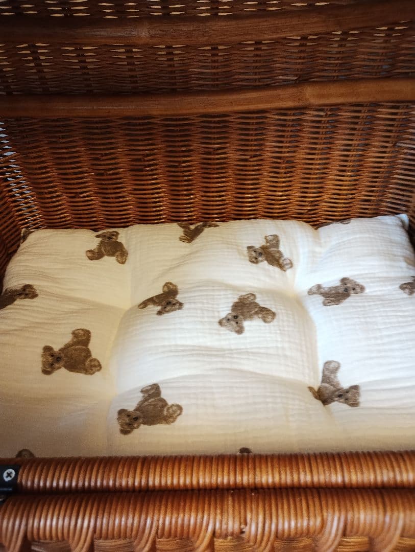 美品　ラタン　籐　ペットキャリー　M　専用クッション付