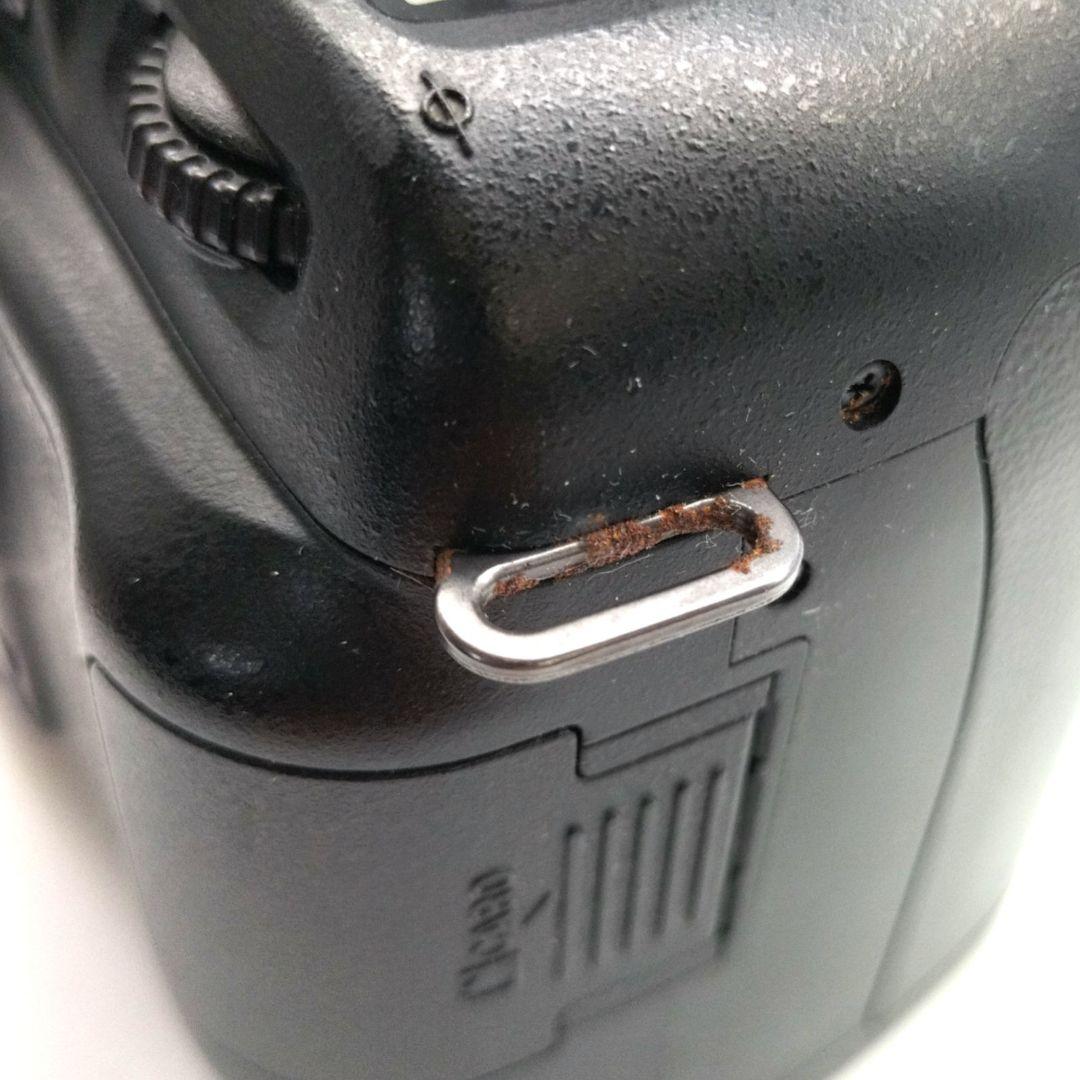 Nikon　D50 デジカメ　ニコン　カメラ　本体　ボディ