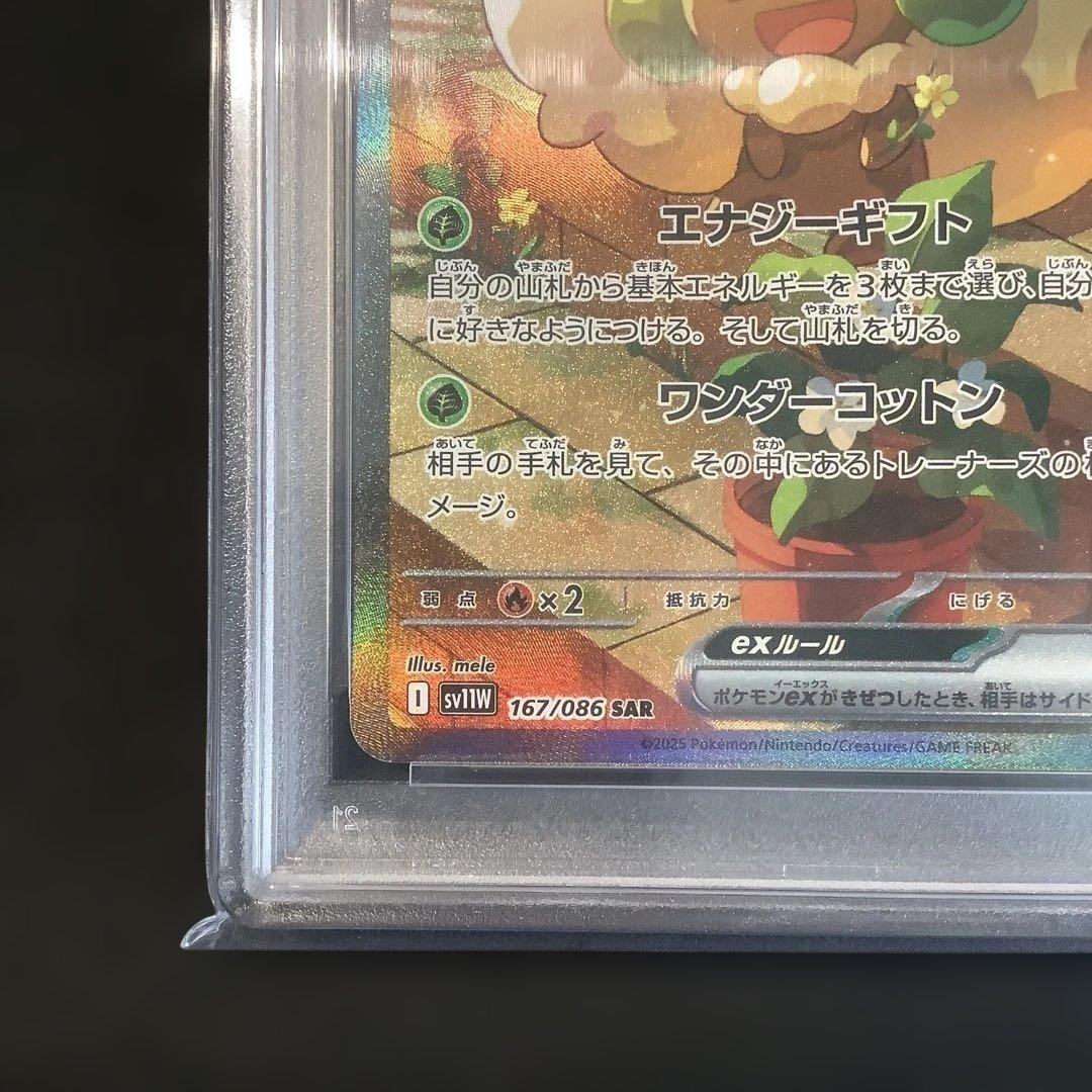 【PSA10】【ワンオーナー品】エルフーンex SAR
