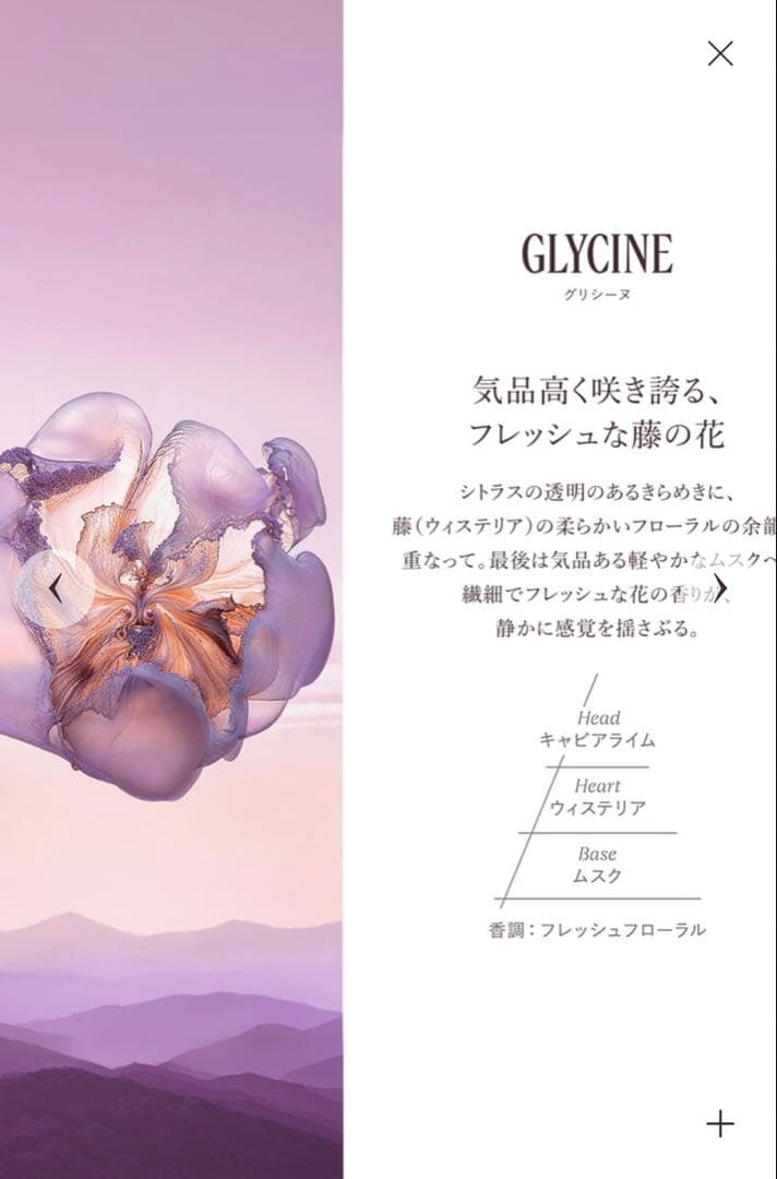 ロクシタン　グリシーヌ　50ml