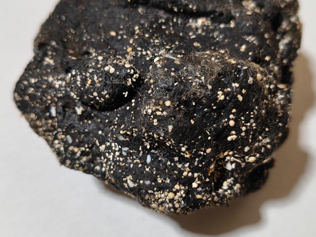 龍涎香 AMBERGRIS 1g 低品質 徳之島にて取得