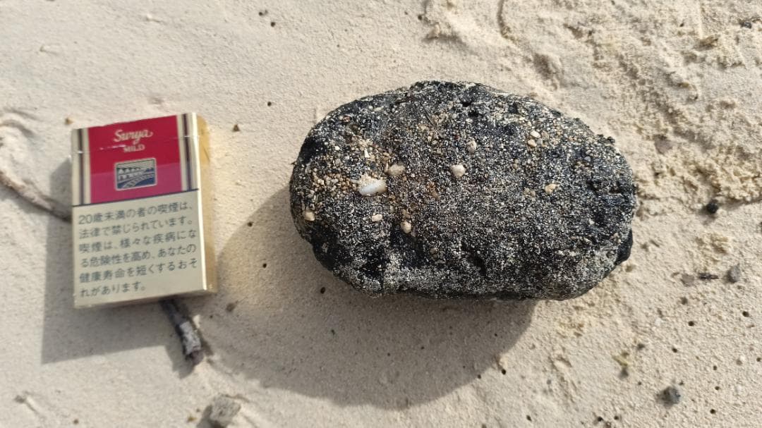 龍涎香 AMBERGRIS 1g 低品質 徳之島にて取得