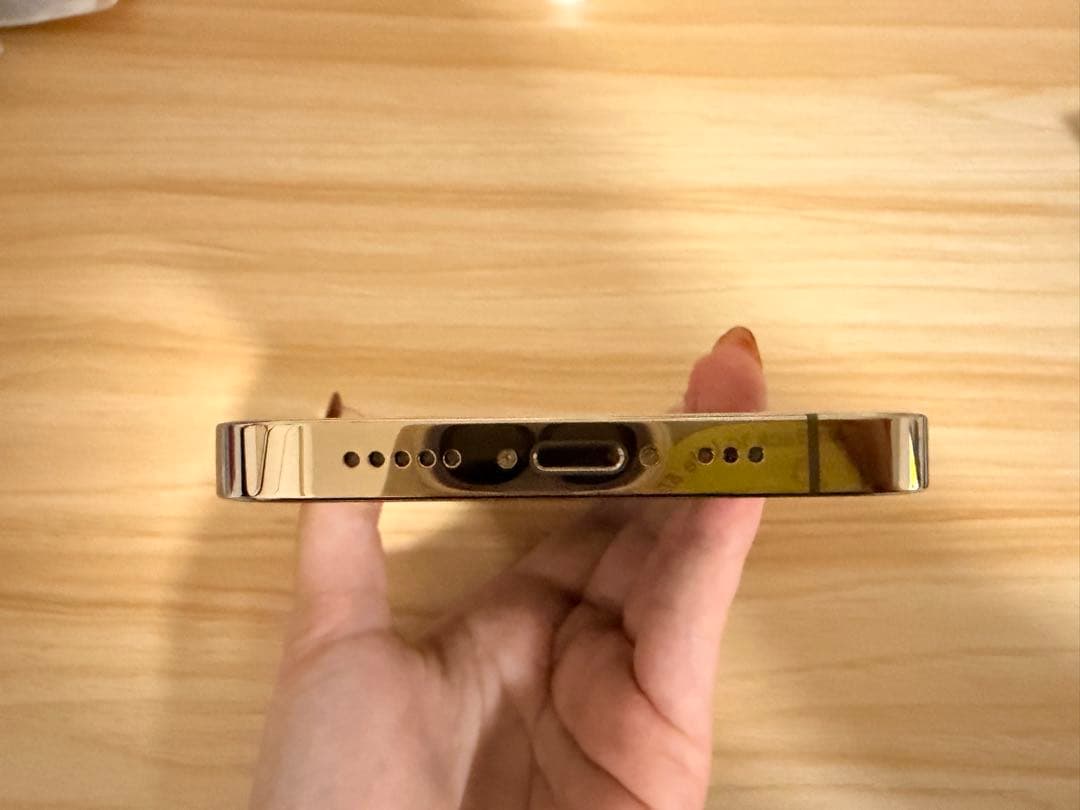 Apple iPhone 13 Pro ゴールド 本体×ケース付き