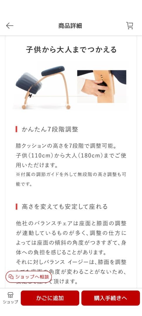 姿勢矯正用バランスチェア バランスイージー