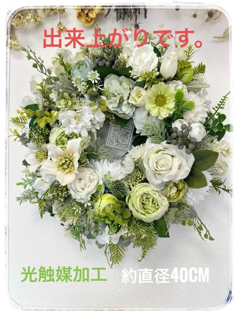 ララです。