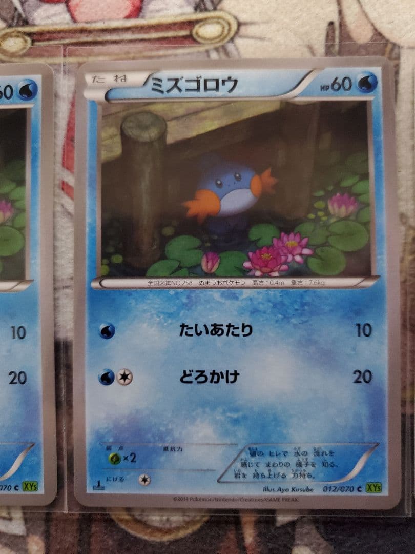 ミズゴロウ C XY5 タイダルストーム 012/070 ポケモンカードゲーム