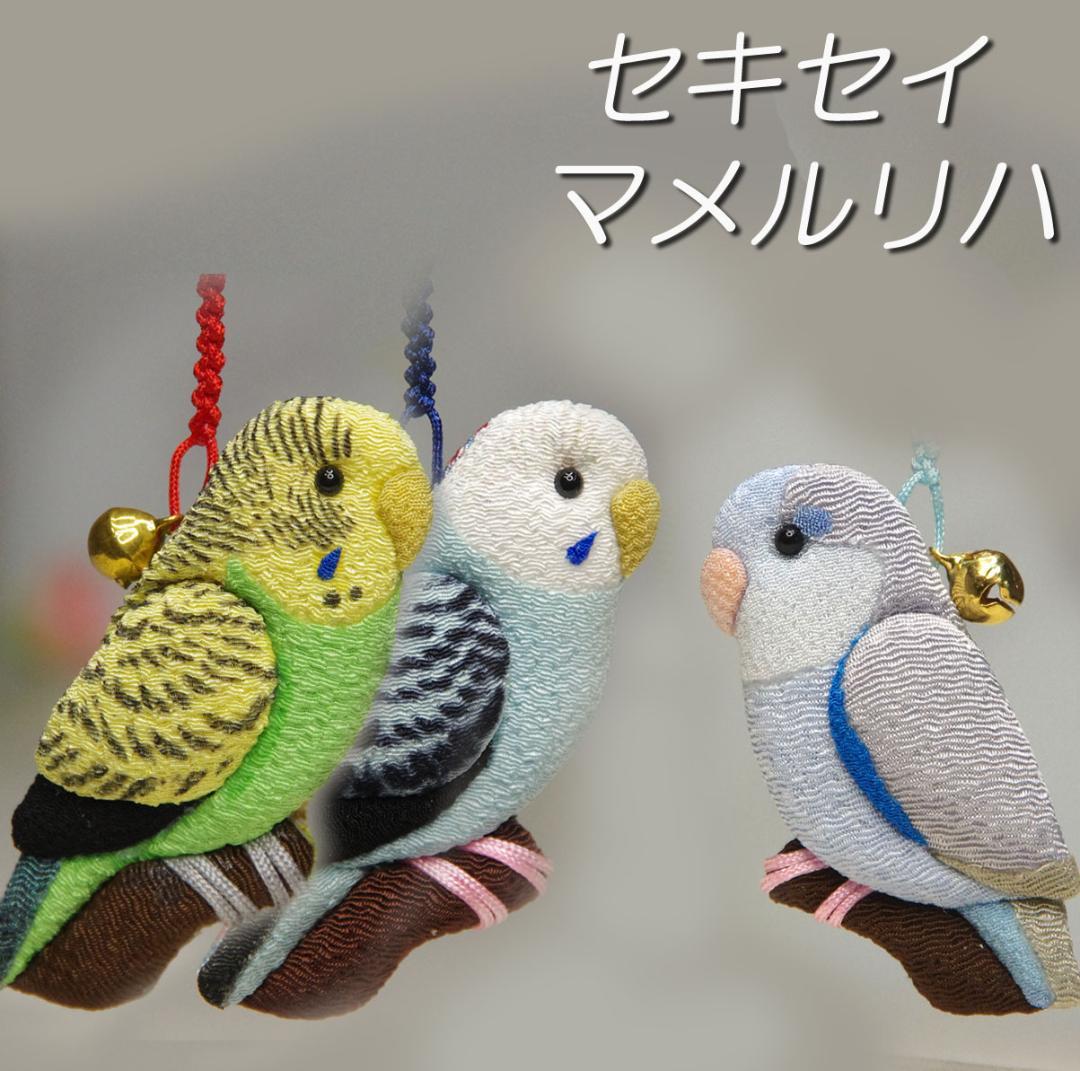 セキセイインコ　ノーマル・オパーリン　マメルリハ