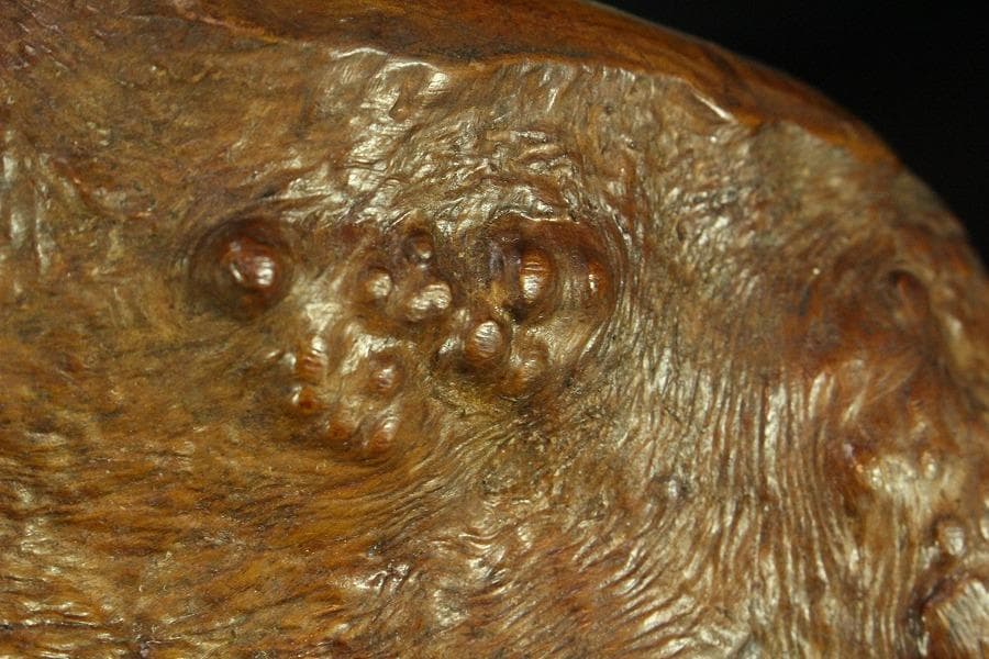 自然木 葡萄木 手付 煙草盆 時代物(K-XA808)