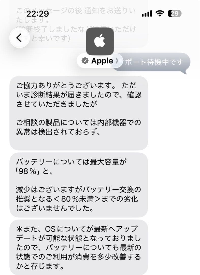 iPad mini5 64GB Wi-Fi バッテリー最大容量98%