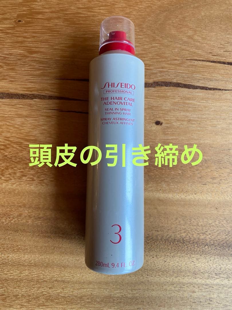 SHISEIDO 美容器 温熱機能 赤色LED 頭皮美容液導入剤一式