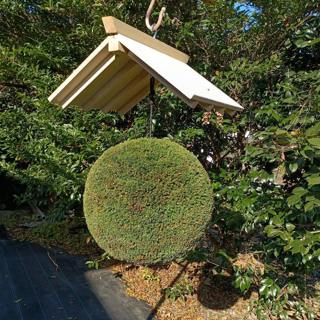 杉玉　直径34ｃｍ　屋根付き