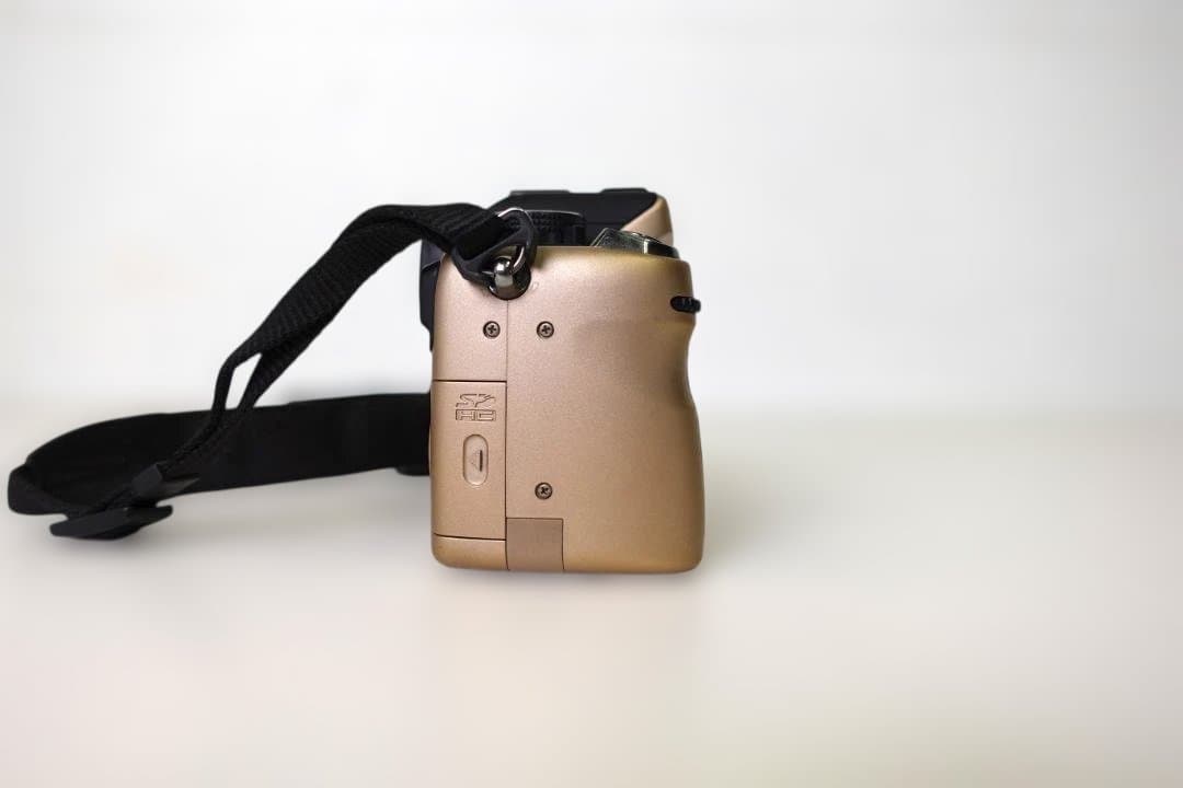 LUMIX DMC-GH1 ゴールドボディ（純正バッテリー2個付・充電器付）