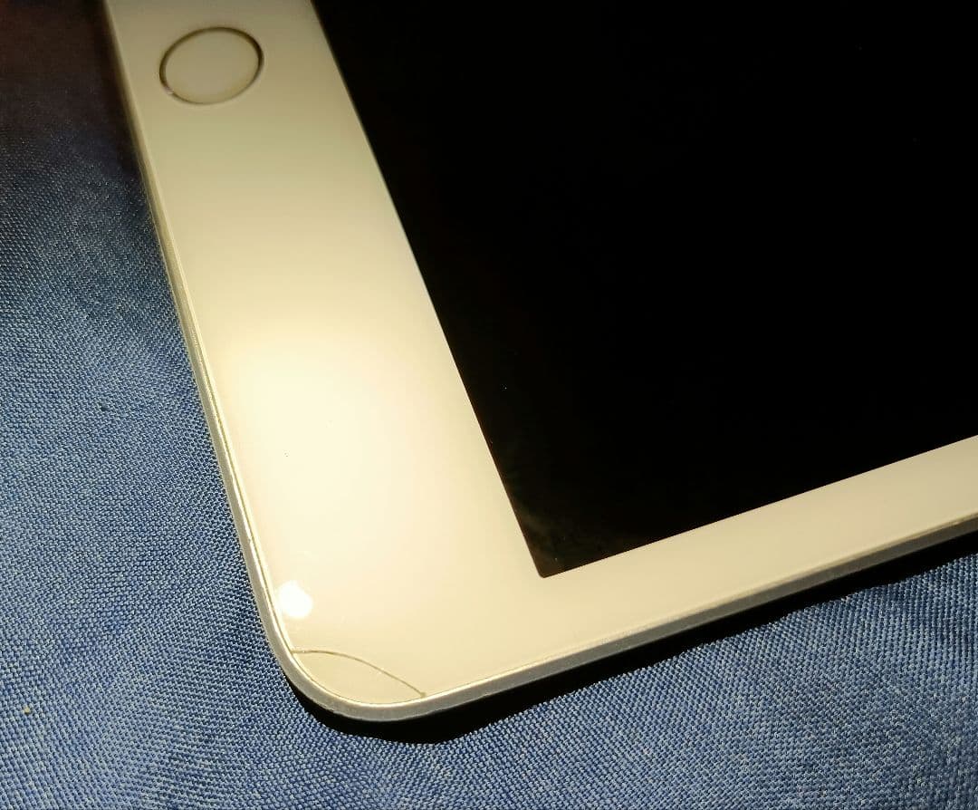 iPad mini 5 本体 機能不良