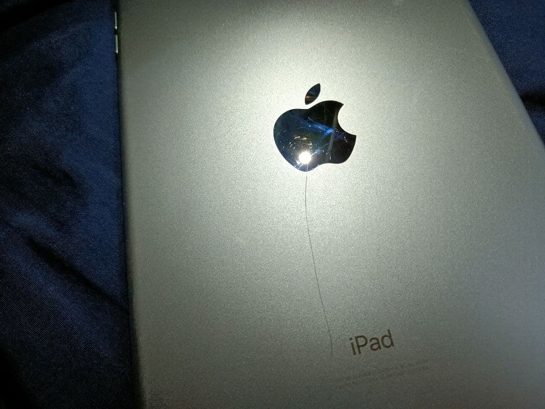 iPad mini 5 本体 機能不良