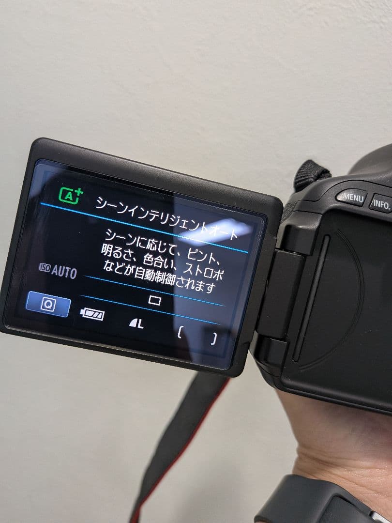 美品キヤノン EOS Kiss X5 ダブルズームキット動作確認済・レンズ2本付