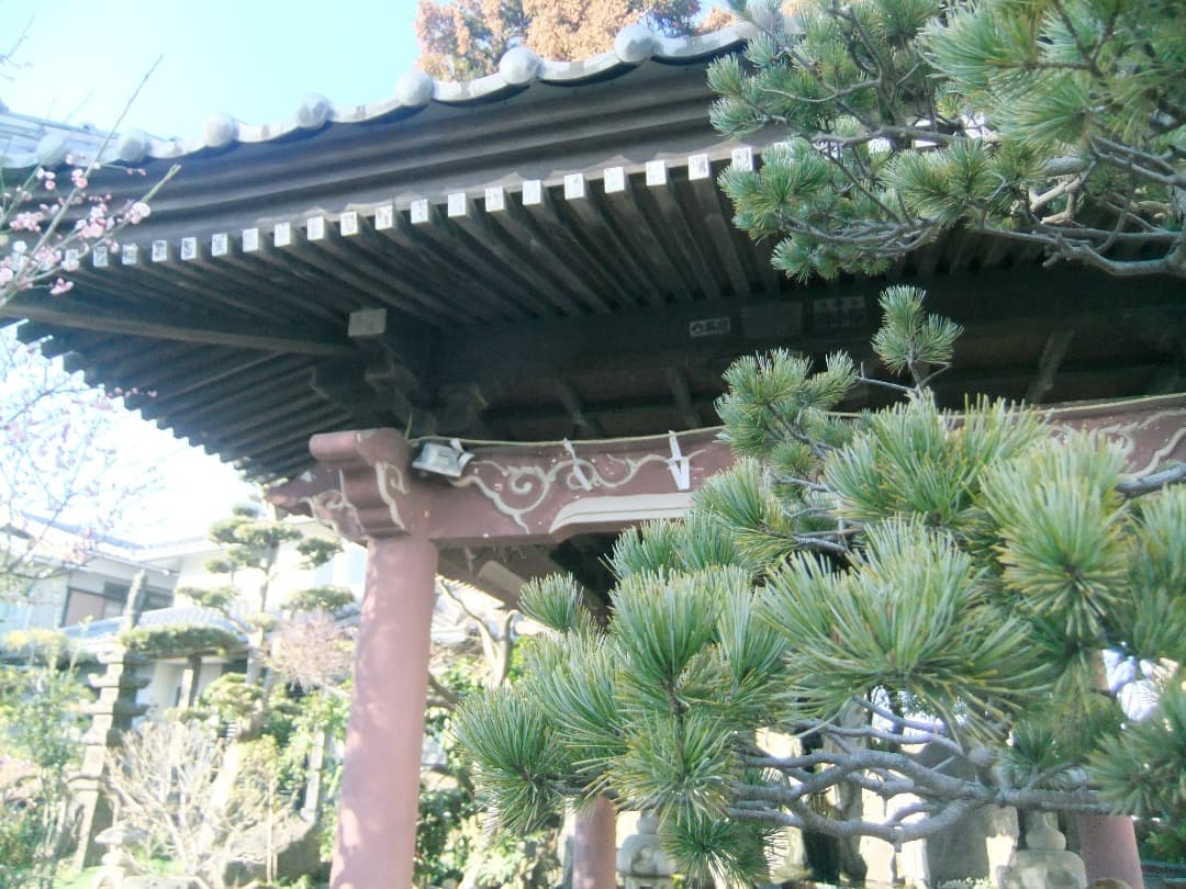 実写美⭕️美品【動作確認済】FUJIFILM FinePix F80EXR
