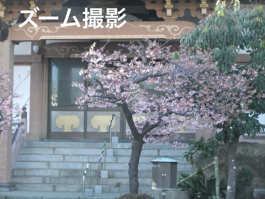 実写美⭕️美品【動作確認済】FUJIFILM FinePix F80EXR