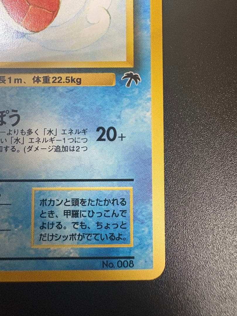 カメール LV.20 サザンアイランド トロピカルアイランド Wartortle