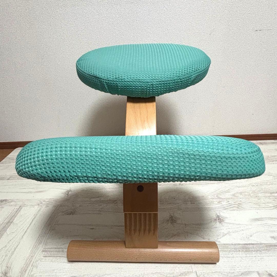 専用　サカモトハウス バランスイージー バランスラボ