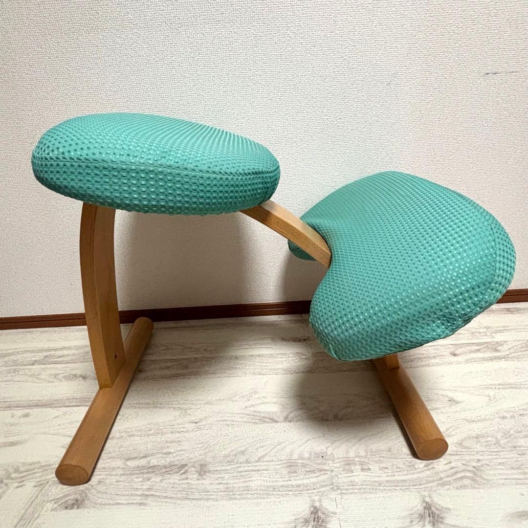 専用　サカモトハウス バランスイージー バランスラボ