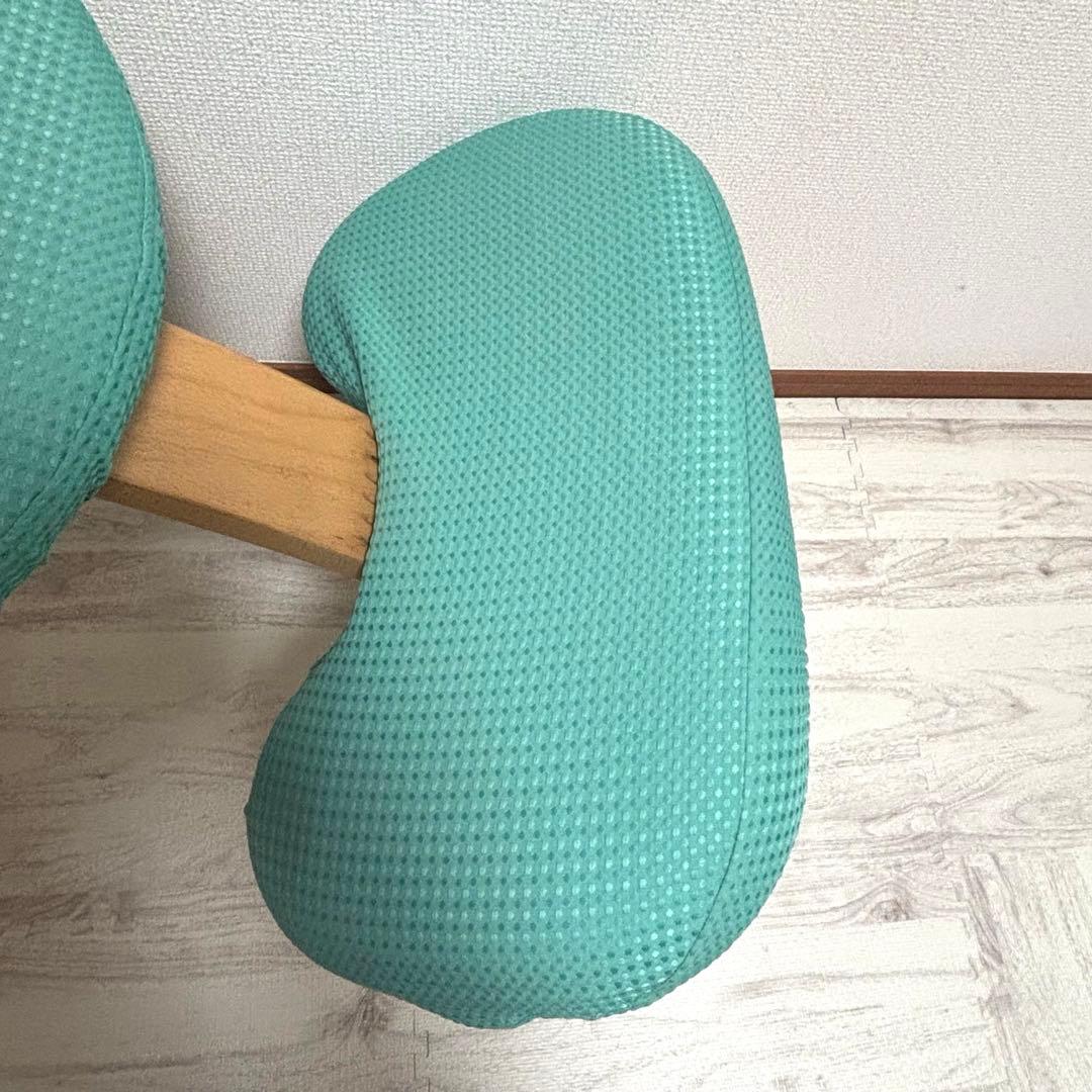 専用　サカモトハウス バランスイージー バランスラボ