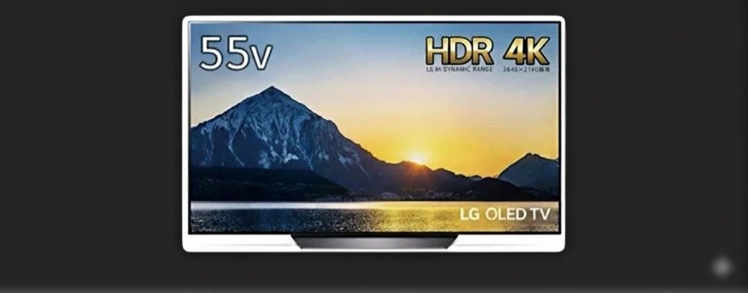 55型薄型有機ELテレビ LG OLED55B8PJA