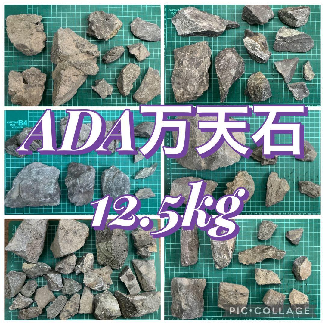 アクアデザインアマノ　ADA 万天石　希少　約12.5kg
