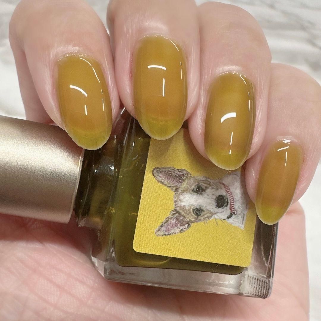 ネイルエス   glassシリーズセット