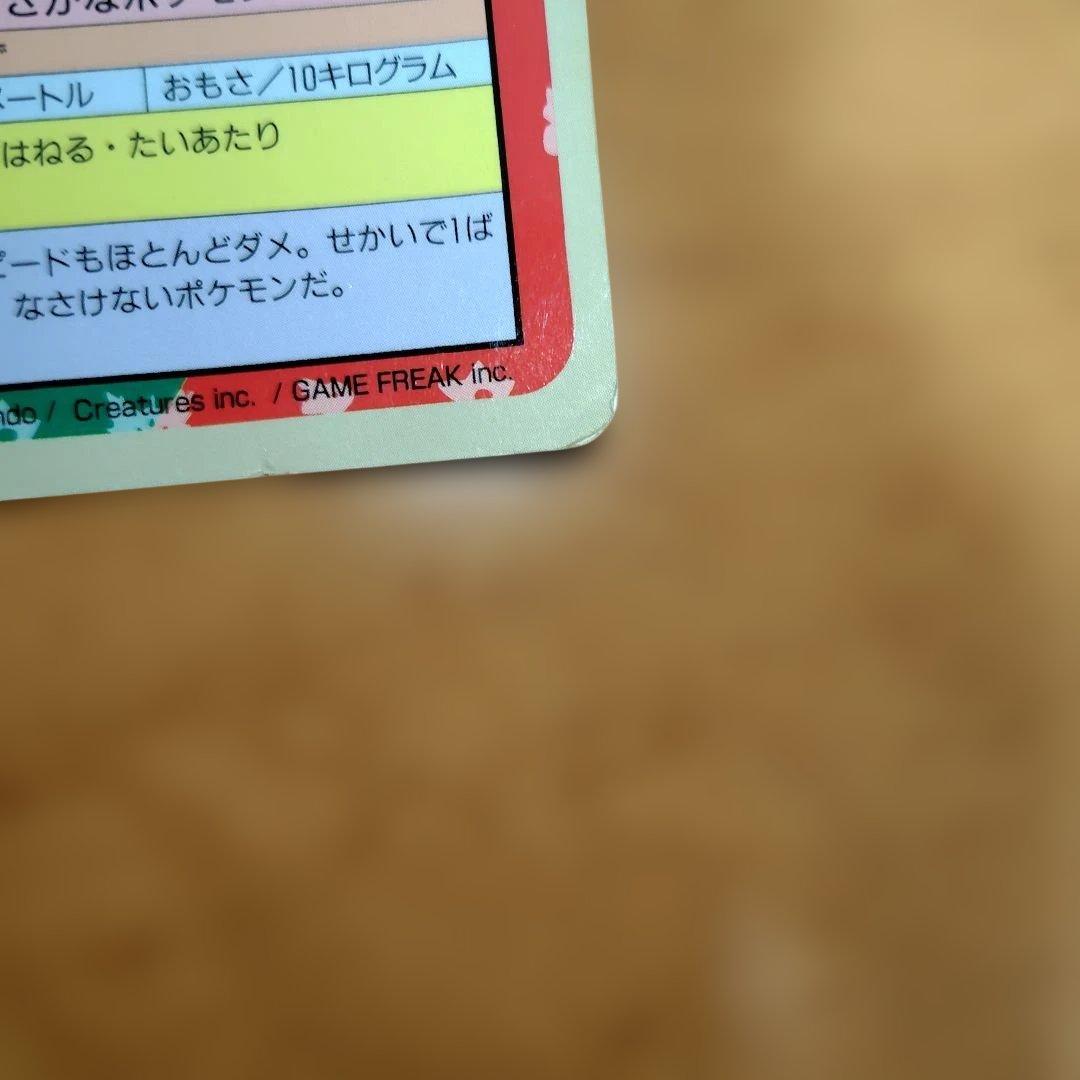 ポケモンカード　トップサン　コイキング　エラー　裏青