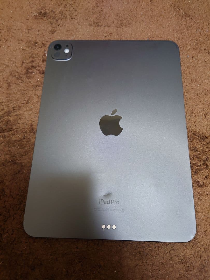 iPad Pro 11インチ (M4) A2836 ジャンク品