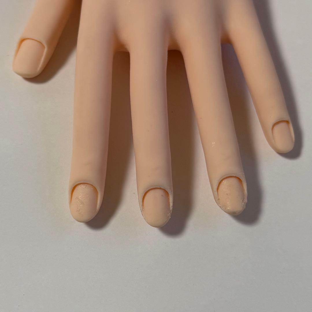 JNEC認定モデルハンド 即購入◎