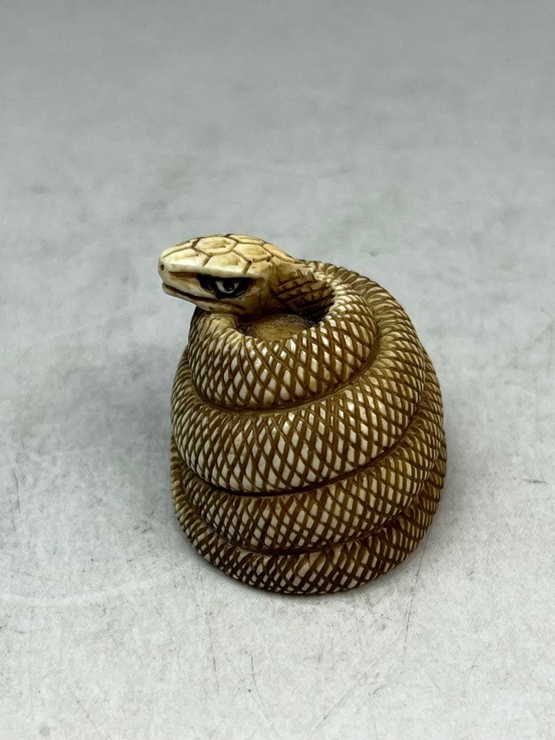 ［珍品］和之在銘　極上蛇根付　20 g 送料込み 龍ちゃん専用