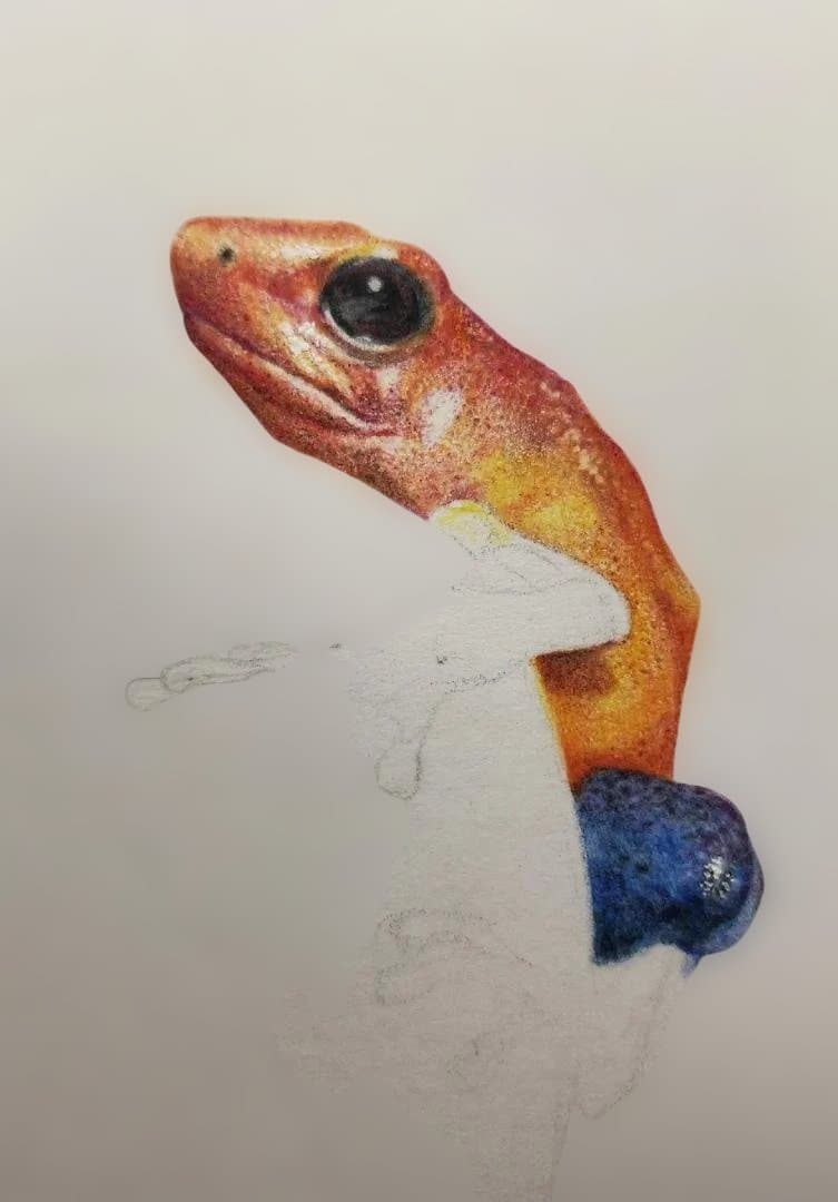 色鉛筆画　Eyes Toward Hope （希望へ向かう瞳）