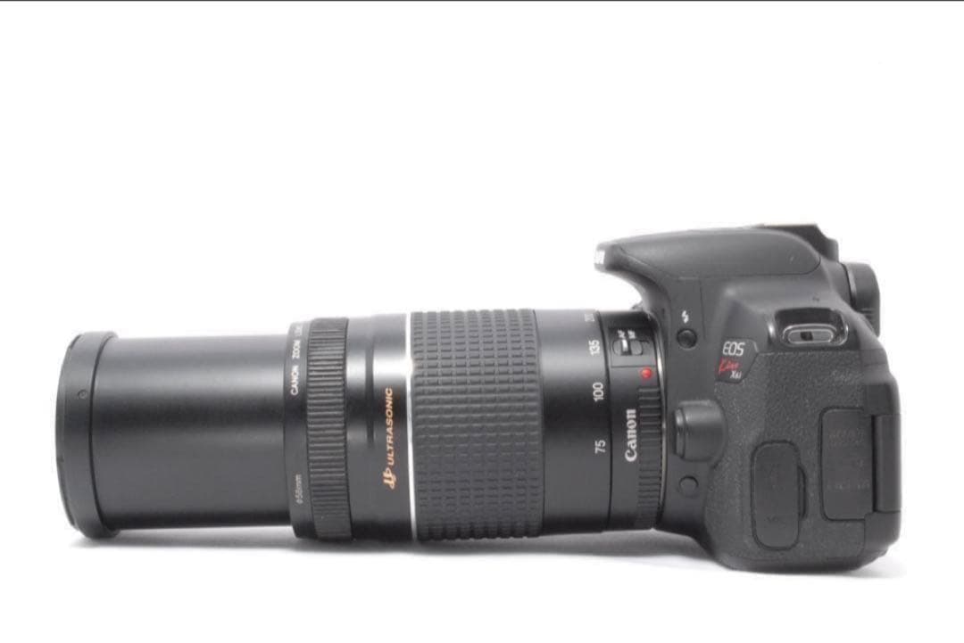 遠くもバッチリ　美品　ダブルレンズセット　Canon EOS kiss X6i