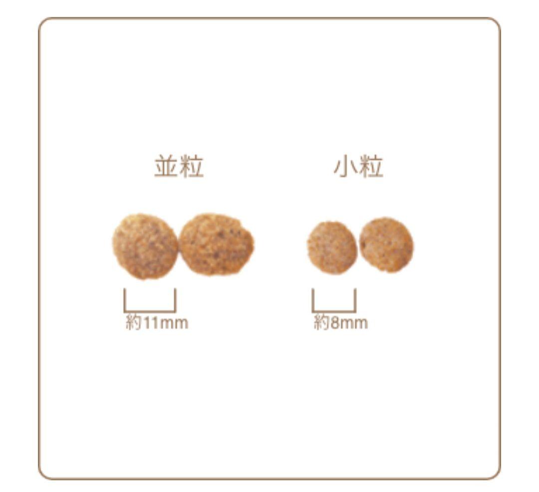 【24時間以内発送】AZ アゼット ラム＆ポテト 10kg