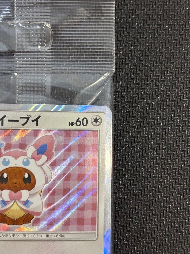 ポンチョを着たイーブイ ニンフィア　未開封