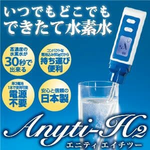 エニティh-2