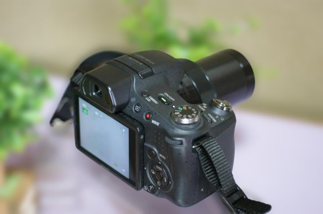 SONY　HX100V　絶好調　撮影簡単