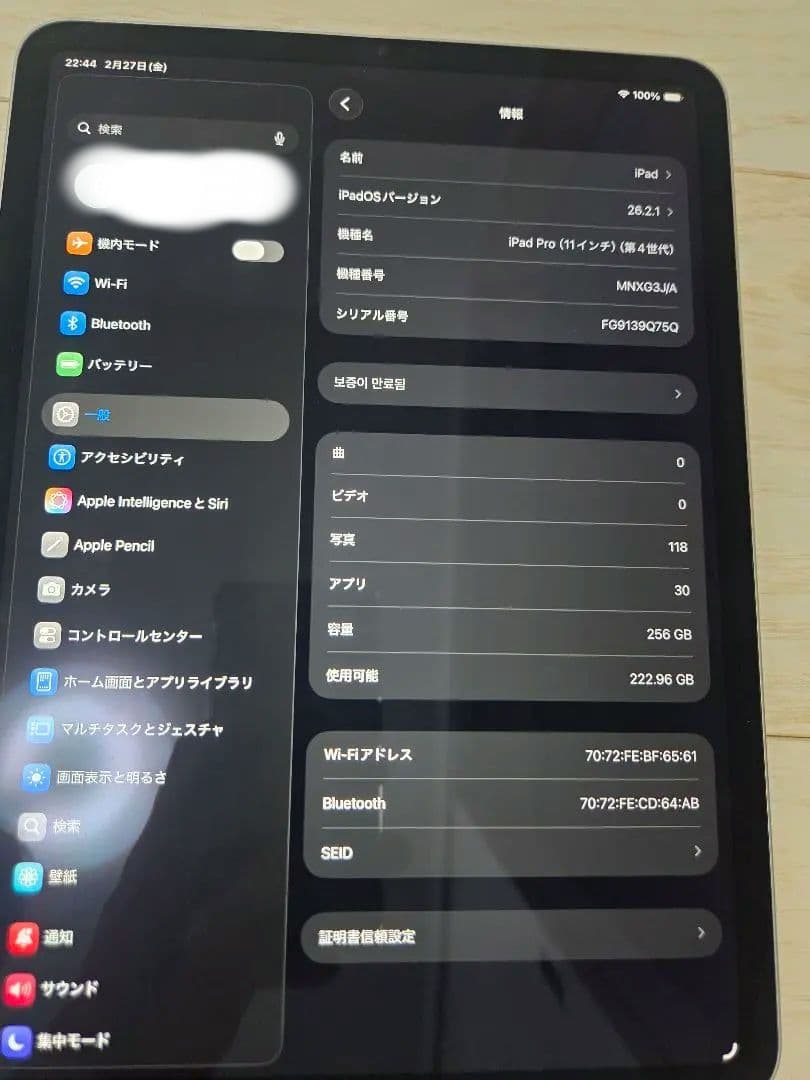 Apple iPad Pro 11インチ 第4世代 256GB+full set