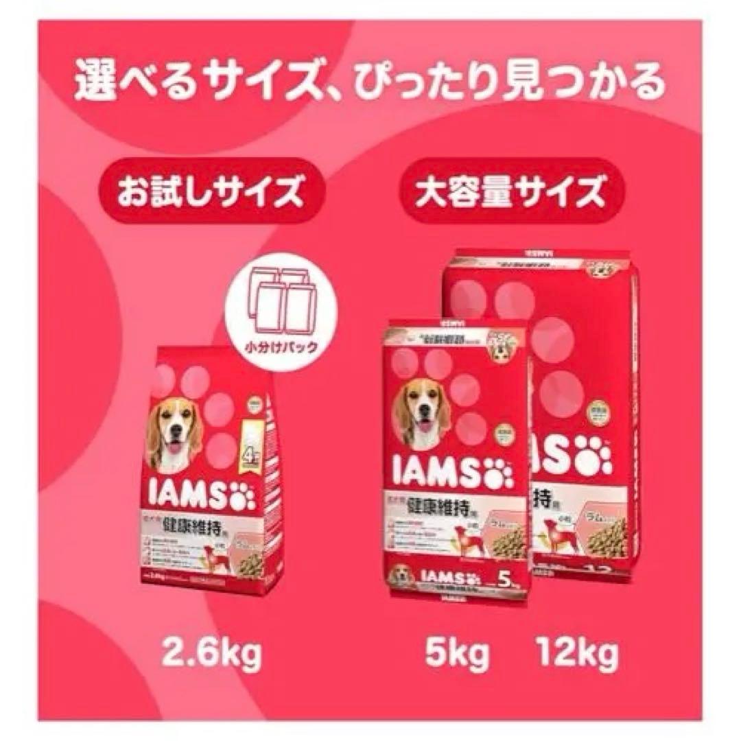IAMS 健康維持用 ドライフード 12kg