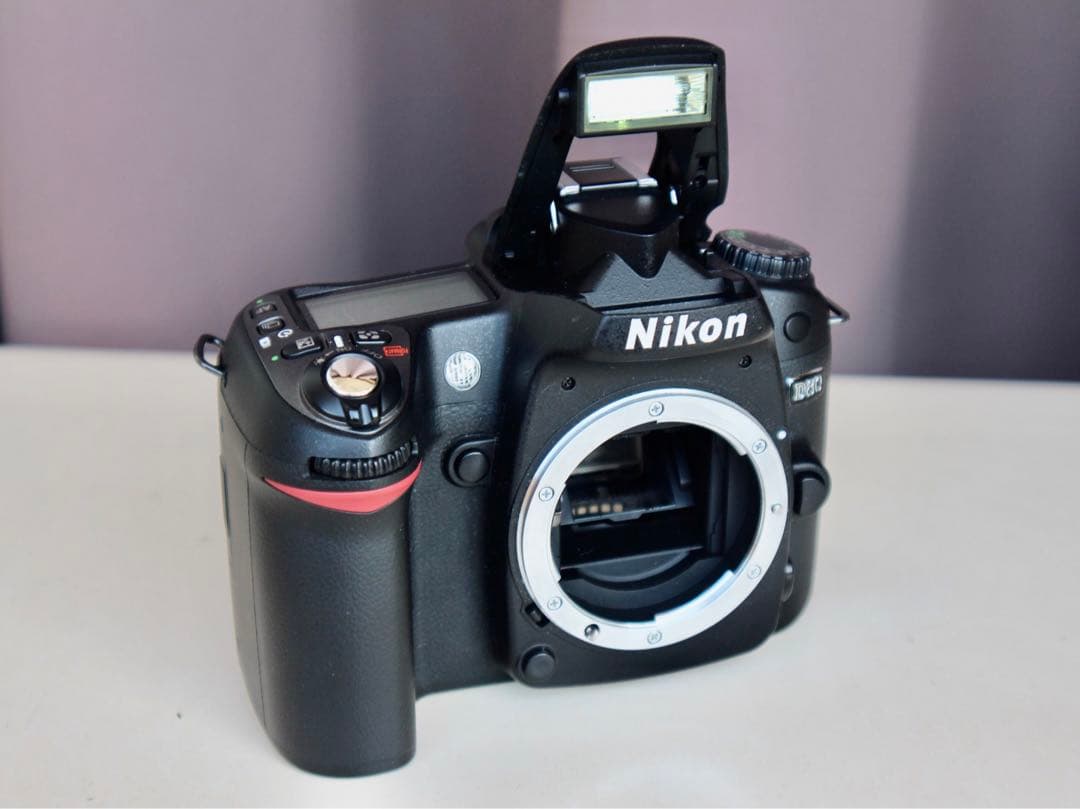 Nikon D80 動作品