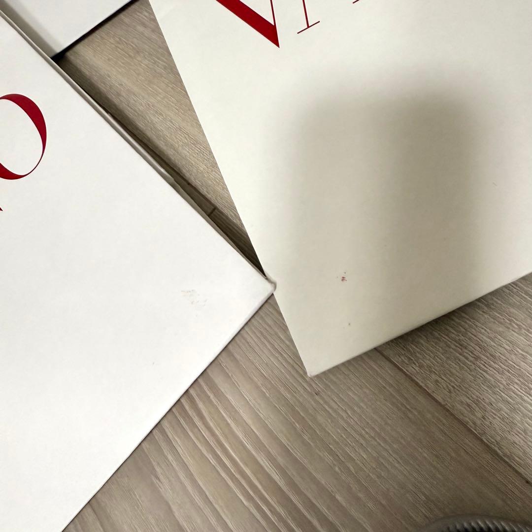 VALENTINO ヴァレンティノ ショッパー 紙袋 ショップ袋　大