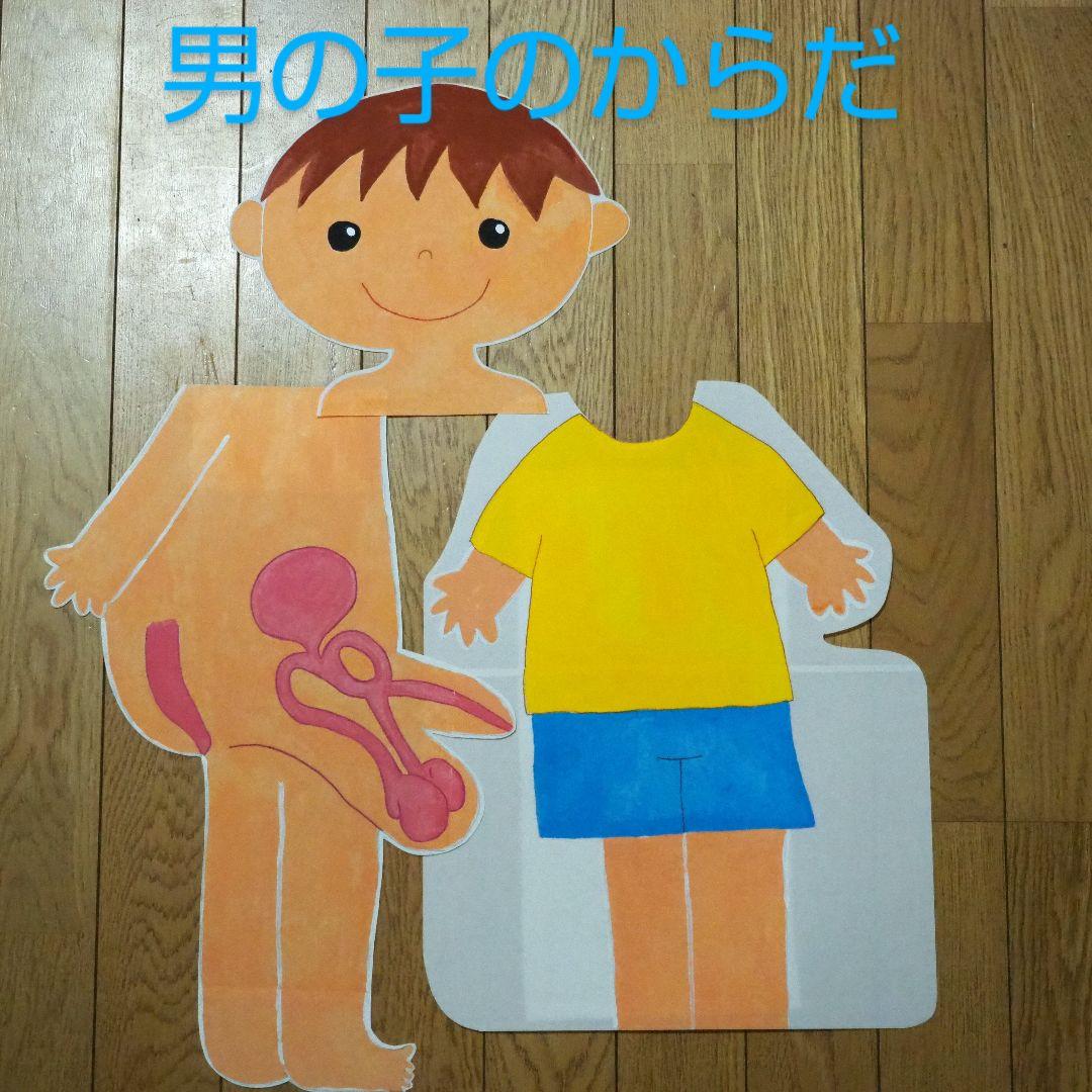 性教育 教材 男の子のからだ・女の子のからだセット○助産師 保健指導【受注生産】