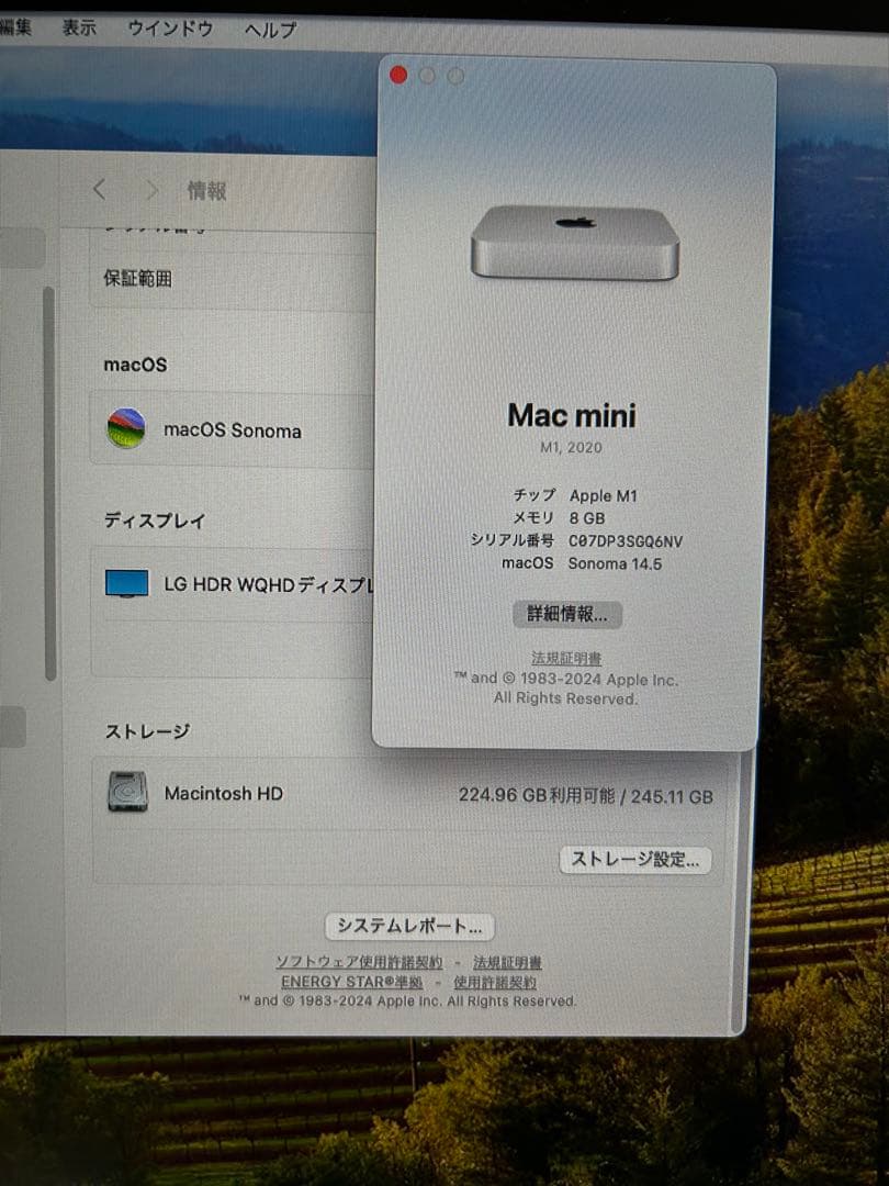 Mac mini (M1, 2020) 本体